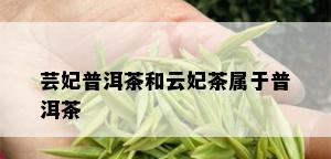 芸妃普洱茶和云妃茶属于普洱茶