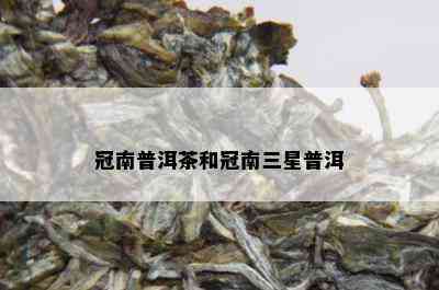 冠南普洱茶和冠南三星普洱