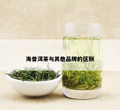 海普洱茶与其他品牌的区别