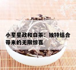 小星星政和白茶：独特组合带来的无限惊喜