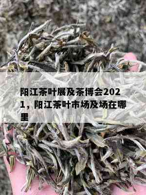 阳江茶叶展及茶博会2021，阳江茶叶市场及场在哪里