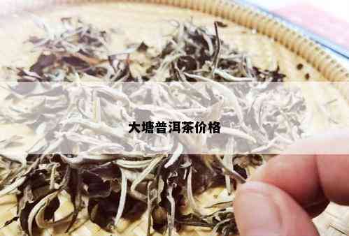 大塘普洱茶价格