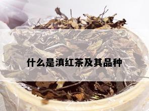 什么是滇红茶及其品种