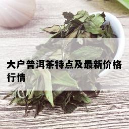 大户普洱茶特点及最新价格行情