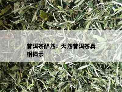 普洱茶酽然：天然普洱茶真相揭示