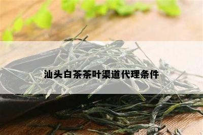 汕头白茶茶叶渠道代理条件