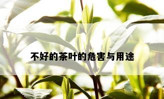 不好的茶叶的危害与用途