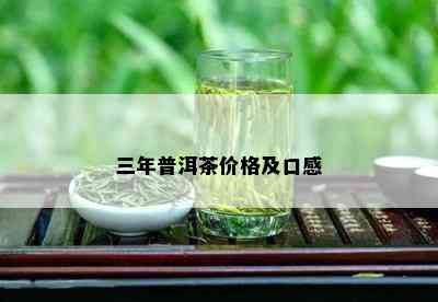 三年普洱茶价格及口感