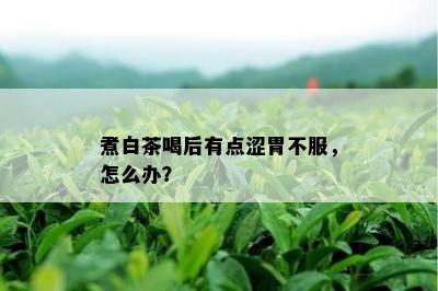 煮白茶喝后有点涩胃不服，怎么办？