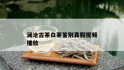 澜沧古茶白茶鉴别真假视频播放