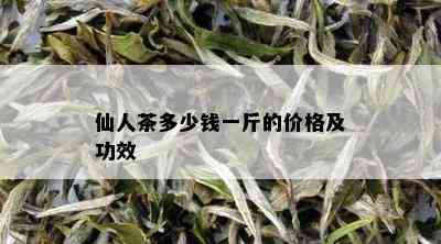 仙人茶多少钱一斤的价格及功效