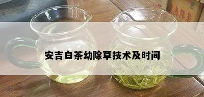 安吉白茶幼除草技术及时间