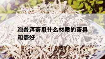 泡普洱茶用什么材质的茶具和壶好