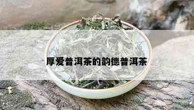 厚爱普洱茶的韵德普洱茶