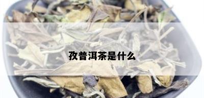 孜普洱茶是什么