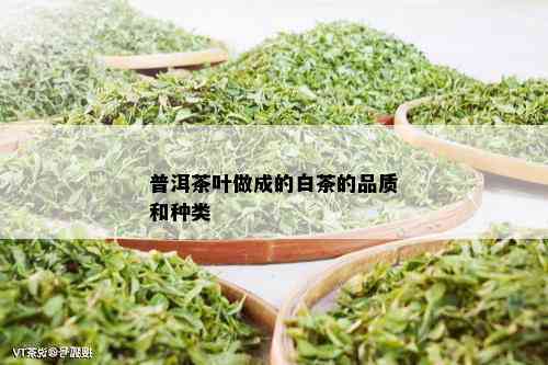 普洱茶叶做成的白茶的品质和种类