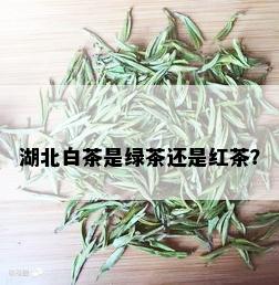 湖北白茶是绿茶还是红茶？