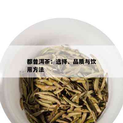 都普洱茶：选择、品质与饮用方法