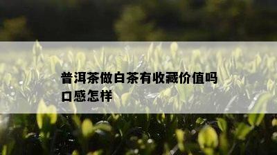 普洱茶做白茶有收藏价值吗口感怎样