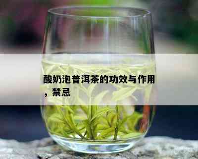 酸奶泡普洱茶的功效与作用，禁忌