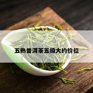 五熟普洱茶五级大约价位