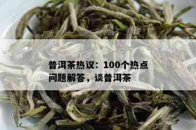 普洱茶热议：100个热点问题解答，谈普洱茶