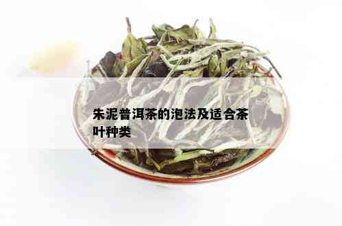 朱泥普洱茶的泡法及适合茶叶种类