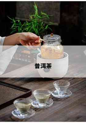 普洱茶