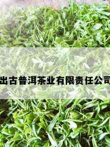 出古普洱茶业有限责任公司