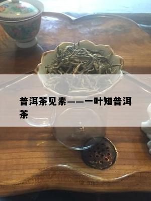 普洱茶见素——一叶知普洱茶