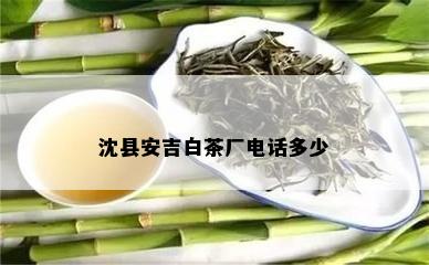 沈县安吉白茶厂电话多少