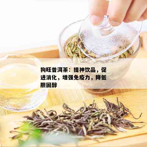 狗旺普洱茶：提神饮品，促进消化，增强免疫力，降低胆固醇