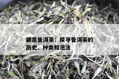 颍泉普洱茶：探寻普洱茶的历史、种类和泡法