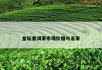 金坛普洱茶市场价格与名茶