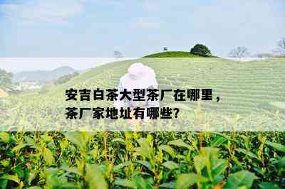 安吉白茶大型茶厂在哪里，茶厂家地址有哪些？