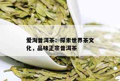 爱淘普洱茶：探索世界茶文化，品味正宗普洱茶