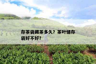 存茶袋藏茶多久？茶叶储存袋好不好？