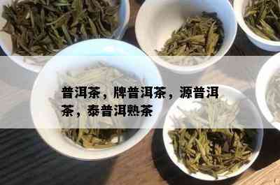 普洱茶，牌普洱茶，源普洱茶，泰普洱熟茶