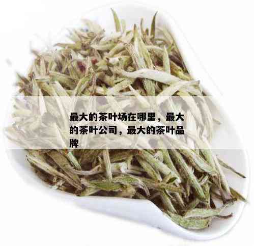 更大的茶叶场在哪里，更大的茶叶公司，更大的茶叶品牌