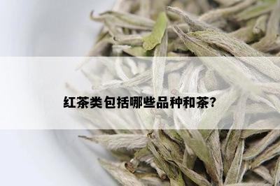 红茶类包括哪些品种和茶?