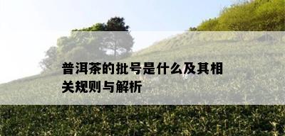 普洱茶的批号是什么及其相关规则与解析