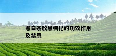 煮白茶放黑枸杞的功效作用及禁忌