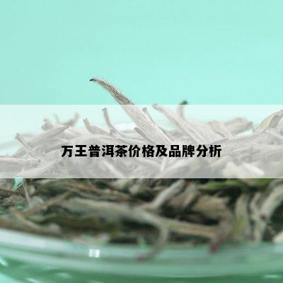 万王普洱茶价格及品牌分析