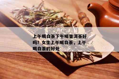 上午喝白茶下午喝普洱茶好吗？女生上午喝白茶，上午喝白茶的好处