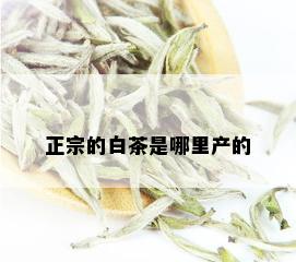 正宗的白茶是哪里产的