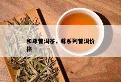 和尊普洱茶，尊系列普洱价格