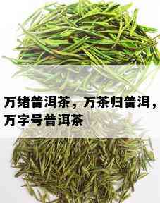 万绪普洱茶，万茶归普洱，万字号普洱茶