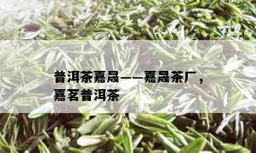 普洱茶嘉晟——嘉晟茶厂，嘉茗普洱茶