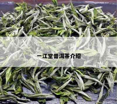 一江堂普洱茶介绍