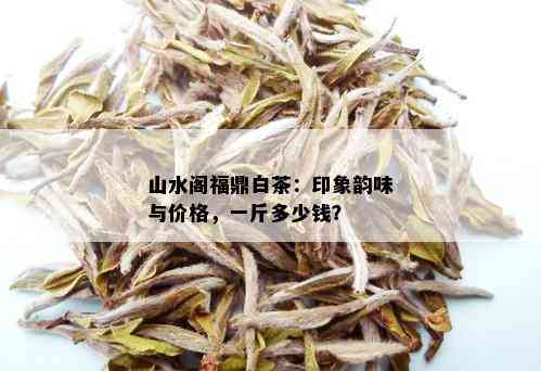 山水阁福鼎白茶：印象韵味与价格，一斤多少钱？